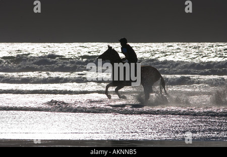 Junge Frau reitet auf einem Pferd Bucht auf breiten Haven Beach Pembrokeshire Wales Großbritannien Stockfoto