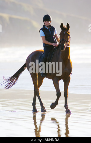 Junge Frau fährt ein Cleveland Bay Kreuz Thoroughbred Pferd auf breiten Haven Beach Wales Stockfoto