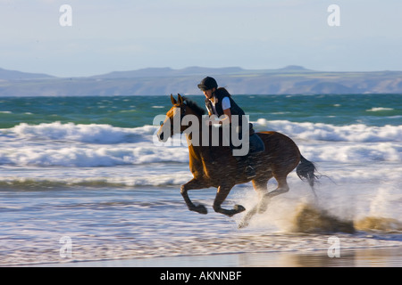 Junge Frau reitet auf einem Pferd Bucht auf breiten Haven Beach Pembrokeshire Wales Großbritannien Stockfoto