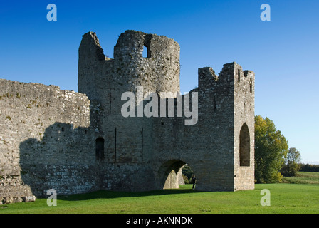 Irlands größte Burgruine, Trim Castle, County Meath, Irland, von Normannen erbaut Stockfoto