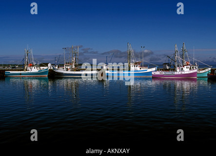 Angelboote/Fischerboote am Dock in Shippagan New Brunswick Provinz Kanada Nordamerika Stockfoto