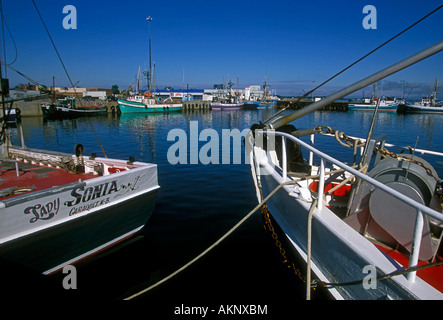 Angelboote/Fischerboote am Dock in Shippagan New Brunswick Provinz Kanada Nordamerika Stockfoto