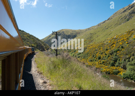 Blick vom Zug auf die Taieri Gorge Railway von Dunedin, Otago, Südinsel, Neuseeland Stockfoto