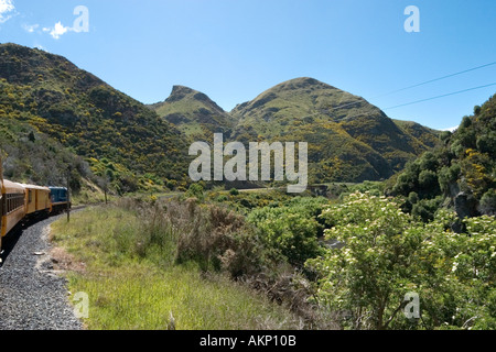 Blick vom Zug auf die Taieri Gorge Railway von Dunedin, Otago, Südinsel, Neuseeland Stockfoto