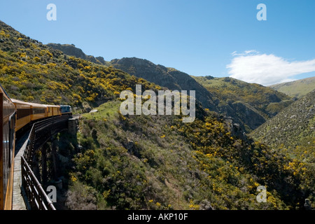 Blick von der Zug überquert eine Brücke auf die Taieri Gorge Railway von Dunedin, Otago, Südinsel, Neuseeland Stockfoto