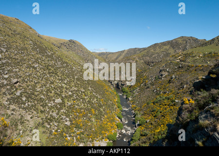 Blick vom Zug auf die Taieri Gorge Railway von Dunedin, Otago, Südinsel, Neuseeland Stockfoto