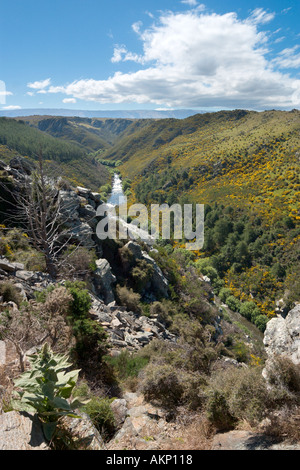 Blick von der Rennstrecke auf die Taieri Gorge Railway von Dunedin, Otago, Südinsel, Neuseeland Stockfoto