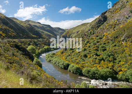 Blick von der Rennstrecke auf die Taieri Gorge Railway von Dunedin, Otago, Südinsel, Neuseeland Stockfoto