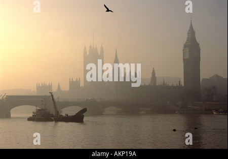 Nebel in London Houses of Parliament, die Westminster Bridge, Möwe im Flug über die Themse, Fluss Schwimmbagger und Tugboat im Vordergrund, Großbritannien Stockfoto