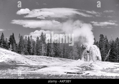 Der Lone Star Geysir im Yellowstone-Nationalpark, Wyoming, USA. UNESCO World Heritage Site. Stockfoto