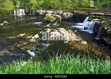 Der Fluß Ure an den oberen Aysgarth Falls. In Aysgarth in der Yorkshire Dales National Park Stockfoto