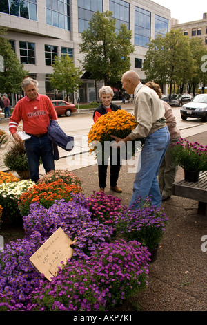 Blume-Anbieter auf einem Bauernmarkt Madison Wisconsin Stockfoto