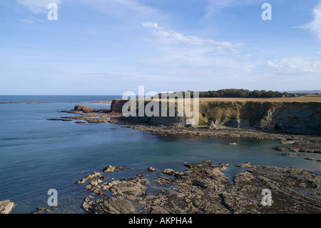 Blick vom Tantallon Castle in der Nähe von North Berwick in East Lothian, Schottland alten Hochburg der Douglas-clan Stockfoto