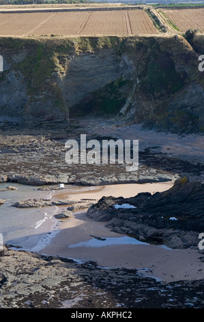 Blick vom Tantallon Castle in der Nähe von North Berwick in East Lothian, Schottland alten Hochburg der Douglas-clan Stockfoto