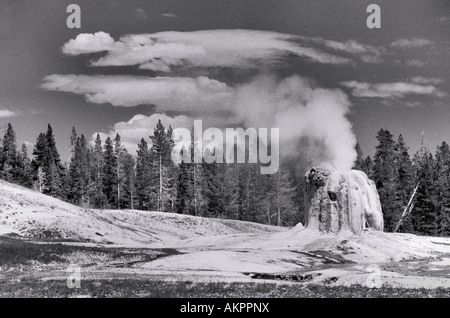 Der Lone Star Geysir im Yellowstone-Nationalpark, Wyoming, USA. UNESCO World Heritage Site. Stockfoto