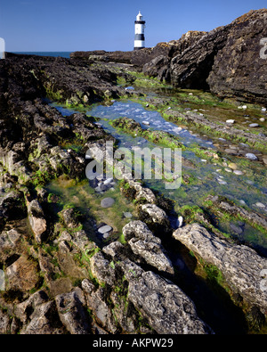 GB - WALES: Penmon Point Lighthouse auf Anglesey Stockfoto