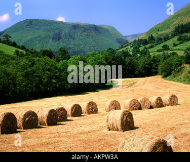 GB - WALES: Spätsommer im Dyfi Valley Stockfoto