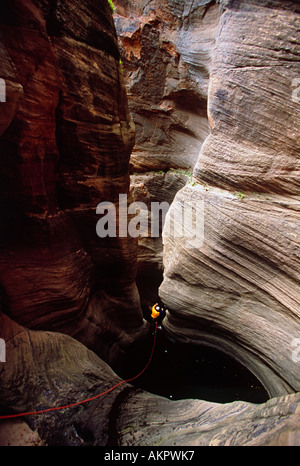 Dave Madera Abseilen in Haufen Canyon, Zion Nationalpark, Utah, USA Stockfoto