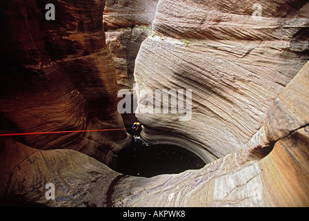 Dave Madera Abseilen in Haufen Canyon, Zion Nationalpark, Utah, USA Stockfoto