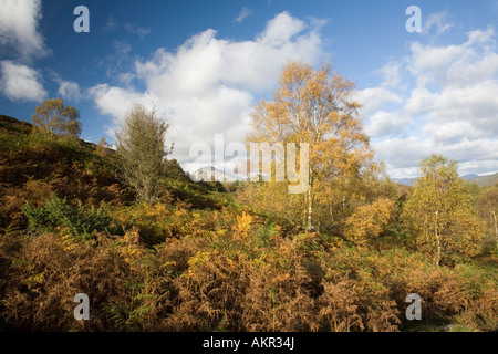 Der alte Mann Coniston von Torver Common in den Lake District National Park gesehen Stockfoto