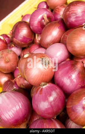 Rote Zwiebeln in einem Lagerplatz zum Verkauf an ein Bauern-Markt Madison Wisconsin Stockfoto