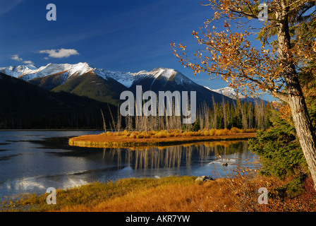 Golden Glow bei Sonnenaufgang am ersten Vermilion See im Herbst Schwefel Mountain Sanson Peak kanadischen Rocky Mountains Banff Nationalpark Alberta Kanada Stockfoto