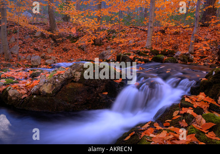 Herbst Wasserfall in Harriman State Park Stockfoto