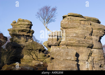 Brimham Rocks, Yorkshire Stockfoto