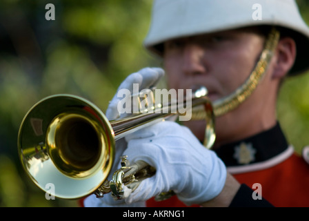 Stock Bild eines Trompeters verkleidet in Fredericton, New Brunswick Kanada als 19. Jahrhundert britische Soldat. Stockfoto