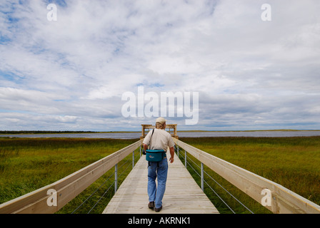 Stock Bild eines Fotografen auf einem Holzsteg über ein Torfmoor auf Miscou Insel New Brunswick, Kanada Stockfoto