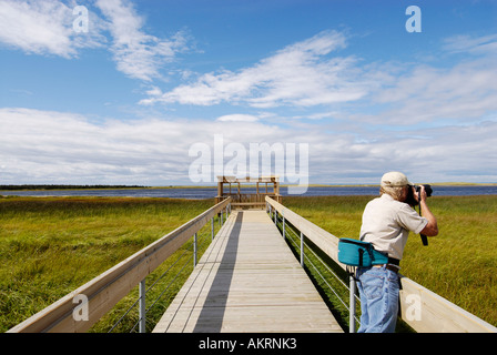 Stock Bild eines Fotografen auf einem Holzsteg über ein Torfmoor auf Miscou Insel New Brunswick, Kanada Stockfoto