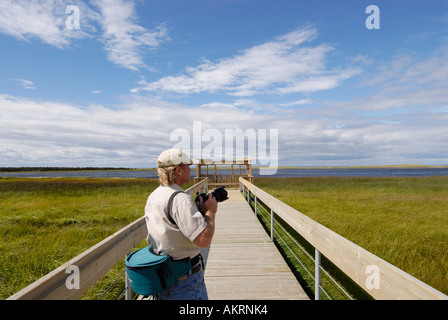 Stock Bild eines Fotografen auf einem Holzsteg über ein Torfmoor auf Miscou Insel New Brunswick, Kanada Stockfoto