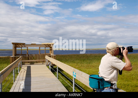 Stock Bild eines Fotografen auf einem Holzsteg über ein Torfmoor auf Miscou Insel New Brunswick, Kanada Stockfoto