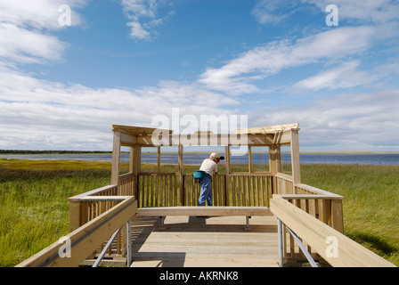 Stock Bild eines Fotografen auf einem Holzsteg über ein Torfmoor auf Miscou Insel New Brunswick, Kanada Stockfoto