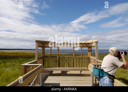 Stock Bild eines Fotografen auf einem Holzsteg über ein Torfmoor auf Miscou Insel New Brunswick, Kanada Stockfoto