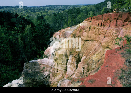 Eine rote Erde Ridge und tiefes Tal in Providence Canyon State Park-Georgien Stockfoto