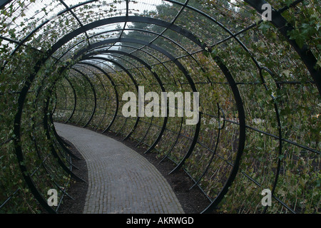 Pflanzen Sie Tunnel im poison Garten bei Alnwick Castle und Gärten, Northumberland Stockfoto