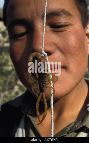 Hazara junge & erfassten Skorpion Kabul-Afghanistan Stockfoto