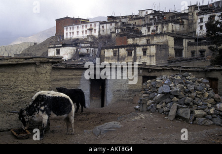 Muktinath Annapurna Trail Nepal Stockfoto