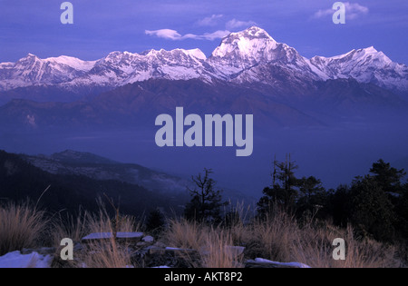 Sonnenaufgang über dem Dhaulagiri von Poon Hill Annapurna Trail Nepal Stockfoto