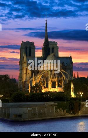 Kathedrale Notre-Dame in der Nacht in Paris Frankreich Stockfoto