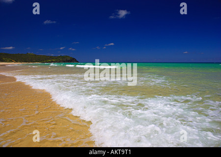 Noosa Beach Australien Stockfoto