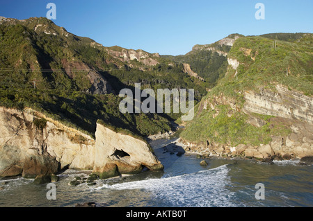 Ten Mile Creek nördlich von Greymouth Westküste Südinsel Neuseeland Antenne Stockfoto