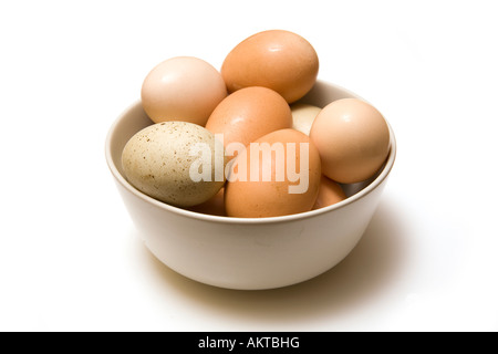 Schüssel mit gemischten Freilandeier isoliert auf einem weißen Studio-Hintergrund. Stockfoto