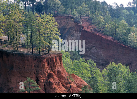 Eine rote Erde Ridge und tiefes Tal in Providence Canyon State Park-Georgien Stockfoto