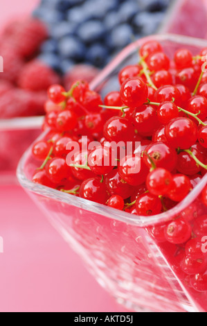 Rote Strömungen, Blaubeeren und Himbeeren im Hintergrund Stockfoto