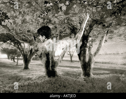 1 ein Mann Frau männliche weibliche abstrakte Muster Bäume Wald Frucht des Wissens, gut, böse, Stockfoto