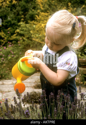 Kleinkind im Garten Lavendelpflanzen mit einer leuchtend gelben Spielzeug Kunststoff-Gießkanne gießen Stockfoto