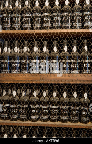 Flaschen des Jahrgangs 1973 Verdelho Madeira-Wein, der alte Blandy Madeira Wine Lodge, Funchal, Madeira, Portugal Stockfoto