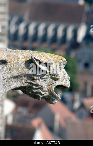 Chartres, Frankreich, Nahaufnahme, Außenansicht 'Kathedrale Notre Dame' Überblick über das Stadtzentrum von der Kathedrale Gargoyle Stockfoto